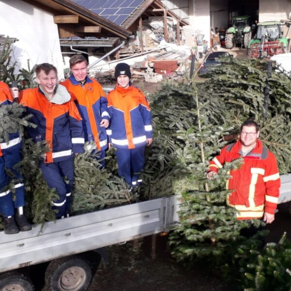 Tanner Christbäume werden ökologisch verwertet